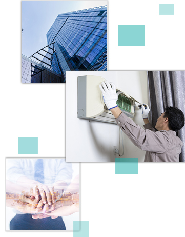 1555573773.jpg 2.jpg